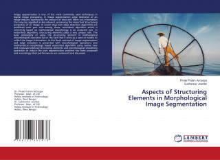 Aspects of Structuring Elements in Morphological Image Segmentation
