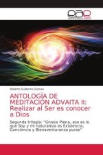 Antologia de Meditacion Advaita II