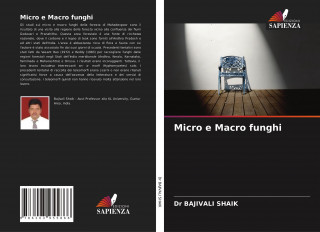 Micro e Macro funghi