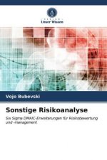 Sonstige Risikoanalyse