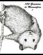100 Gravures de Mammiferes 1