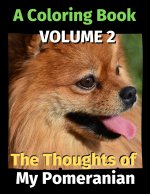 Thoughts of My Pomeranian