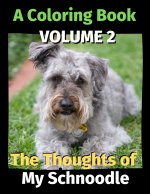 Thoughts of My Schnoodle