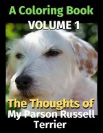 Thoughts of My Parson Russell Terrier