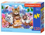 Puzzle 120 Kociaki z kwiatami B-13524-1