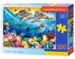 Puzzle 100 Delfiny w tropikach B-111169