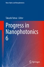 Progress in Nanophotonics 6