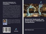Numeriek Onderzoek van Scheurgroei in Metalen en Composieten