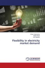 Flexibility in electricity market demand