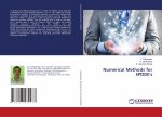 Numerical Methods for SPDDE's