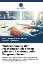 Wahrnehmung der Mathematik im ersten Jahr und Leistung beim Programmieren
