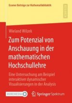 Zum Potenzial Von Anschauung in Der Mathematischen Hochschullehre