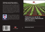 Tolérance au sel de la canne ? sucre (Saccharum officinarum L)