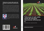 Tolleranza al sale nella canna da zucchero (Saccharum officinarum L)