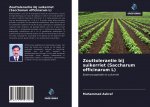 Zouttolerantie bij suikerriet (Saccharum officinarum L)