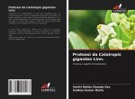 Proteasi da Calotropis gigantea Linn.