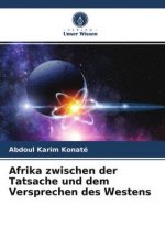 Afrika zwischen der Tatsache und dem Versprechen des Westens