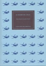 DELIRIO DEL ANGEL, EL