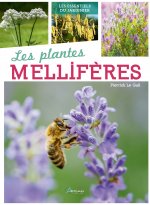 Insectes pollinisateurs et plantes mellifères