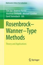 Rosenbrock?Wanner?Type Methods