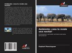Ambiente: cosa lo rende una novit??
