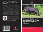 Anatomia Aplicada da Regi?o Chefe do Porco Local (Zovawk) de Mizoram