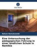 Eine Untersuchung der pädagogischen Führung in einer ländlichen Schule in Namibia