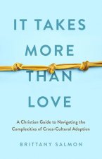 It Takes More Than Love: A Christian Guide to Navigating the Complexities of Cross-Cultural Adoption