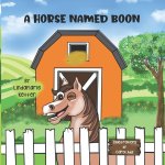 Horse named Boon