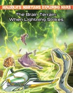 The Brain Terrain: When Lightning Strikes