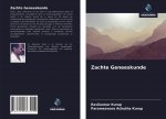 Zachte Geneeskunde