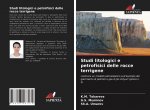 Studi litologici e petrofisici delle rocce terrigene