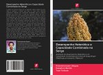 Desempenho Heterotico e Capacidade Combinada no Sorgo