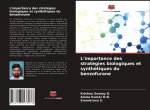 L'importance des strategies biologiques et synthetiques du benzofurane
