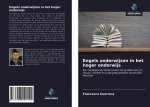 Engels onderwijzen in het hoger onderwijs