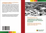 Subdesenvolvimento E Dependencia No Cerrado Piauiense