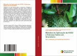 Metodos de Aplicacao de H2O2 e Estresse Salino em Gravioleira