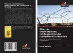 Disarmo, smobilitazione, reintegrazione dei combattenti in Namibia