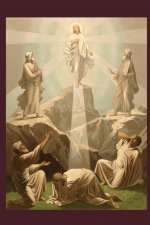Evangelho de Joao verso a verso
