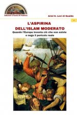 L'aspirina dell'Islam moderato