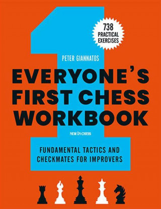 Everyone's First Chess Workbook Fundamental Tactics and Checkmates for Improvers  738 Practical Exer