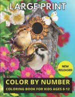 Large Print Color By Number Coloring Book For Kids Ages 8-12