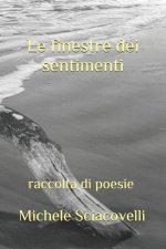 finestre dei sentimenti