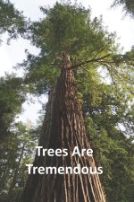 Trees Are Tremendous