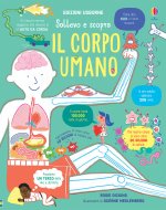 corpo umano