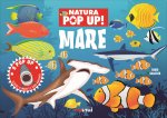 Mare. Natura pop up!