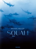 Squali