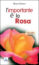 importante è la rosa