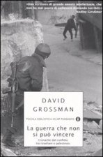 guerra che non si può vincere. Cronache dal conflitto tra israeliani e palestinesi
