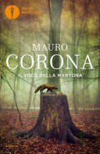 volo della martora